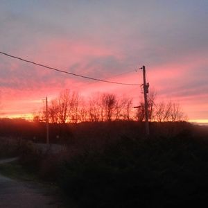 Meet your Posher, Lex